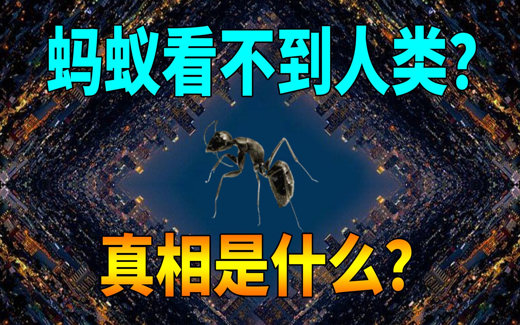 [图]蚂蚁看不到人类，被称为二维生物，那人类可以看到四维生物嘛？