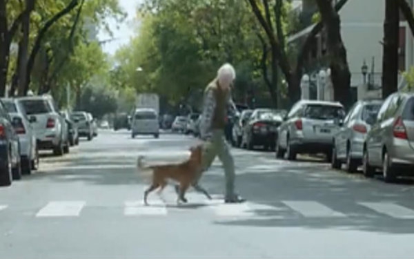 [图]The Man and the Dog —— 生命的延续