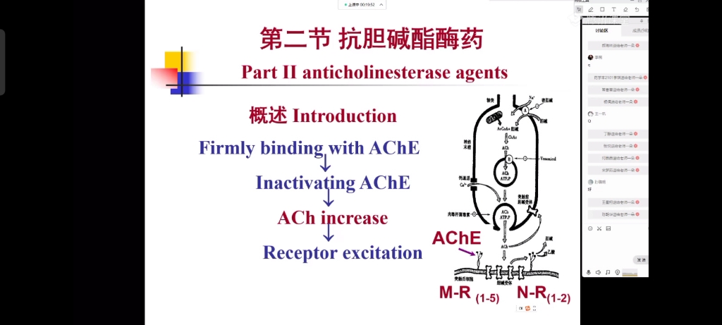 药理学(第四章 抗胆碱酯酶药)哔哩哔哩bilibili