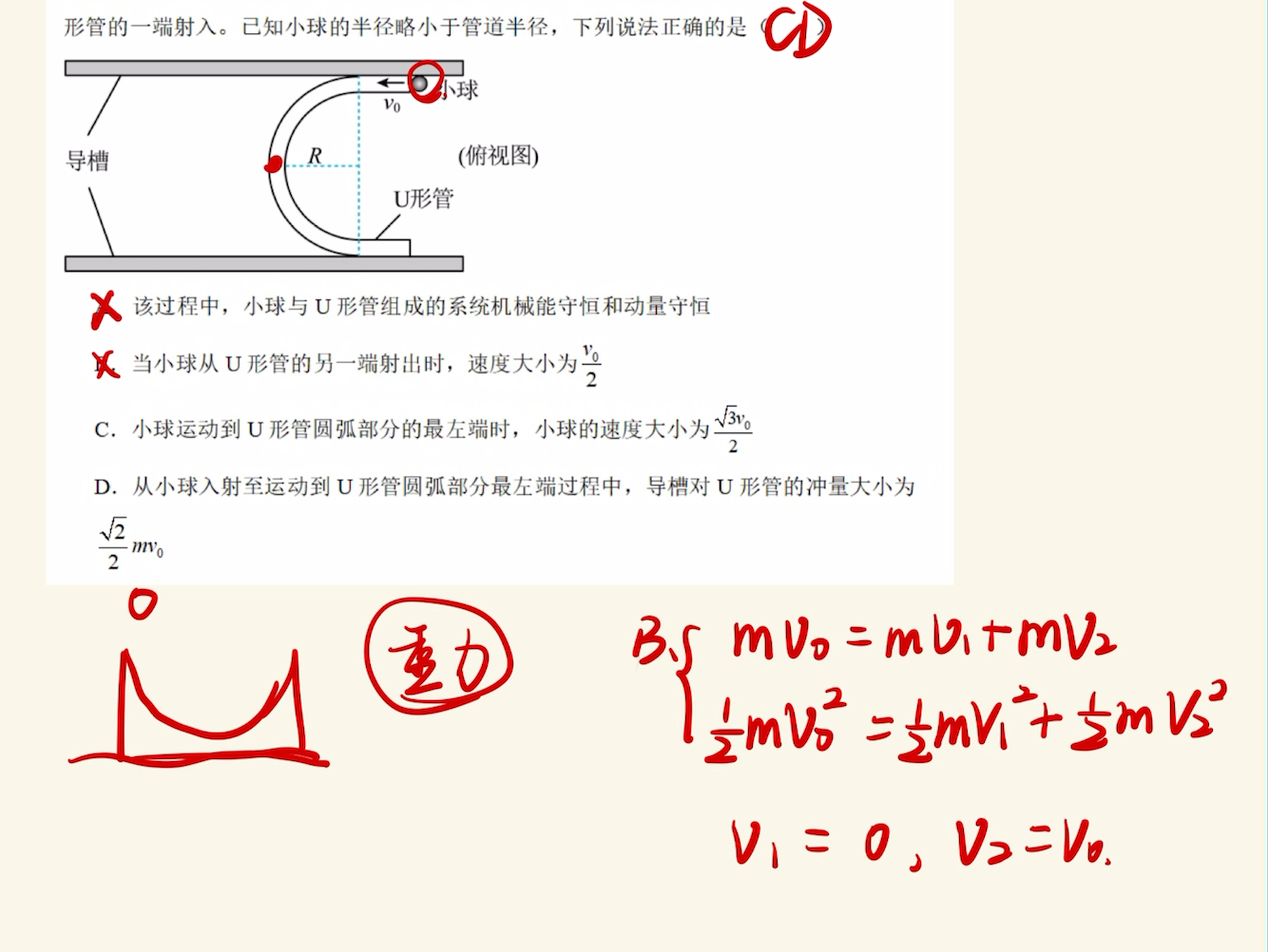 动量守恒定律哔哩哔哩bilibili