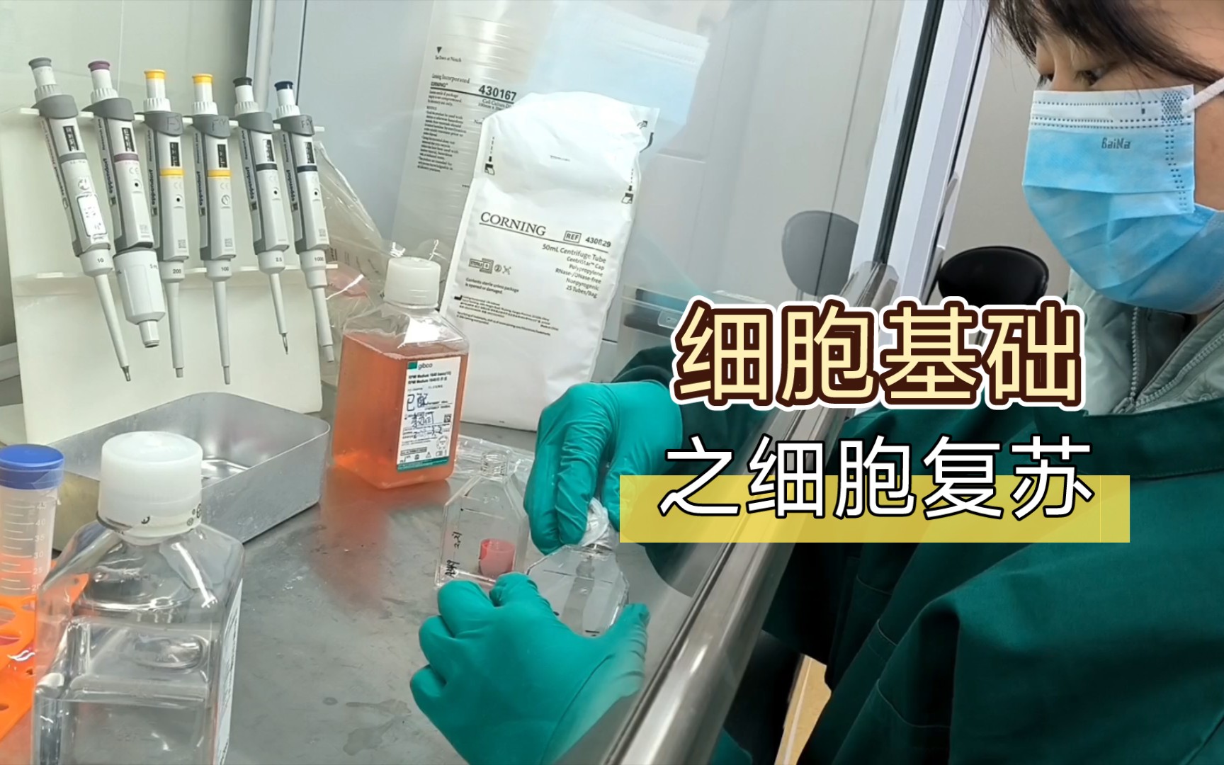 师姐手把手教你细胞复苏