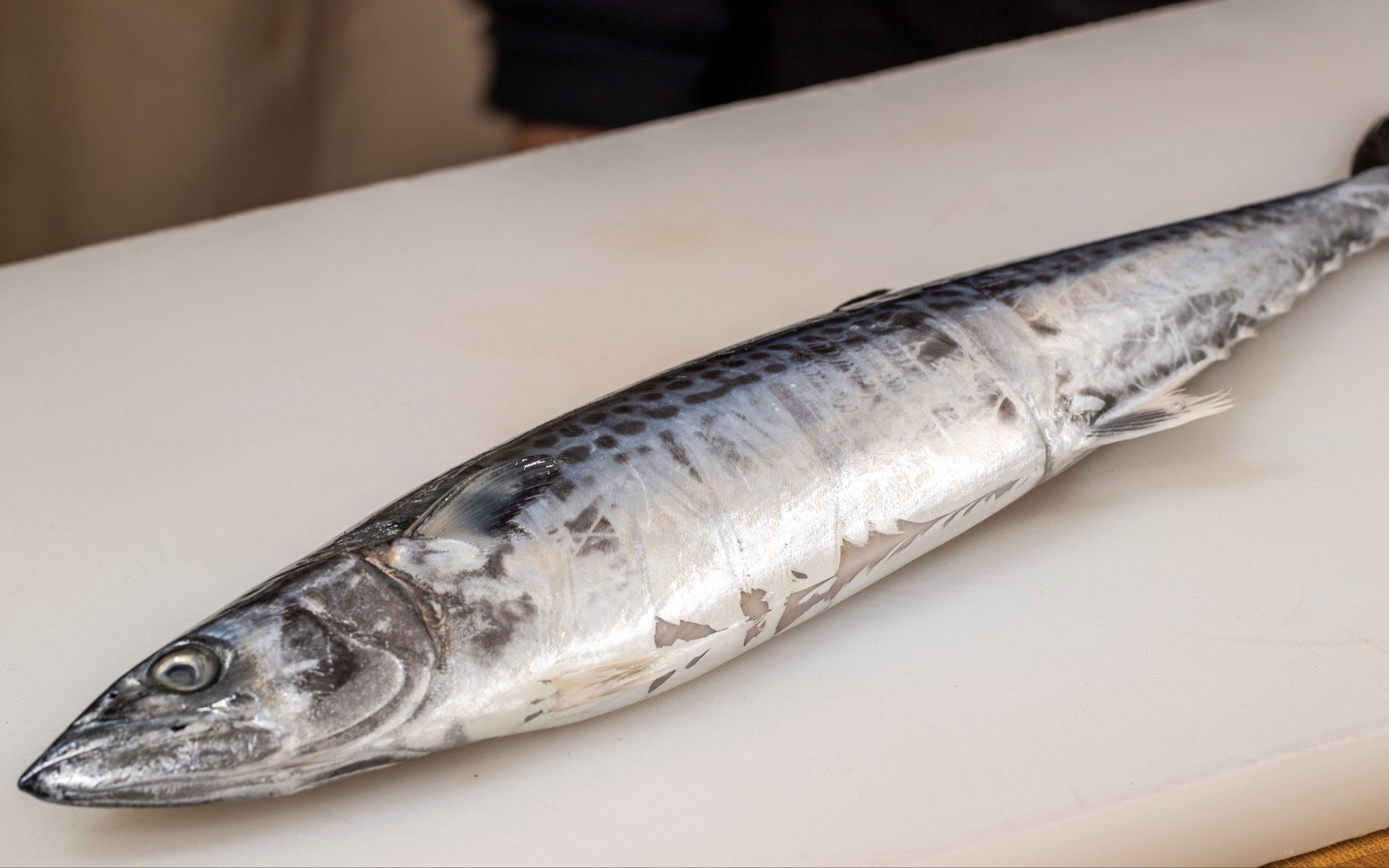 海边人做鱼骨酱用马鲛鱼,出来味道鲜香合一,现在很难有这样味道