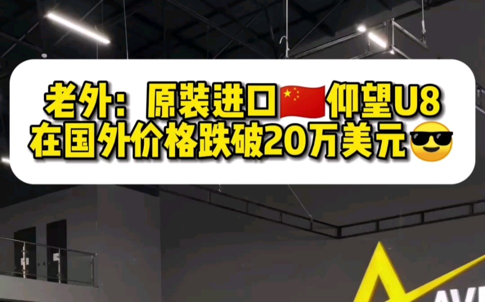 老外:原装进口中国顶级电动车比亚迪仰望U8价格跌破20万美元!现在只要195000美元了,哈哈哔哩哔哩bilibili