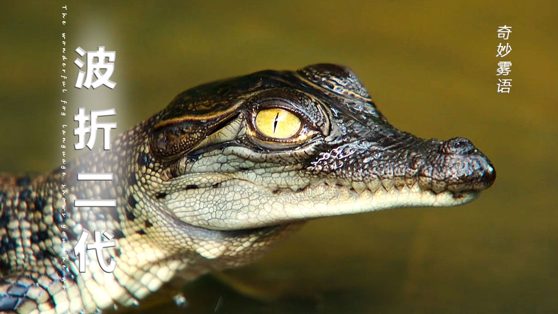 强二代的童年也是充满波折的