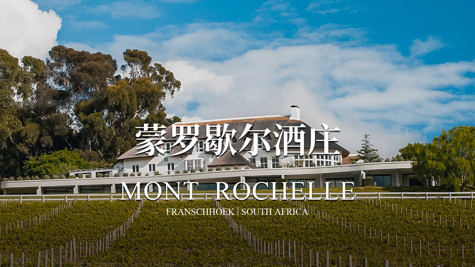 蒙罗歇尔酒庄,拥有古典风格的精品酒窖,遵循传统的酿酒理念