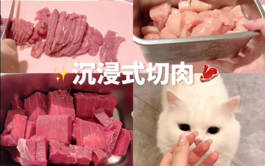 沉浸式切肉|日常熟自制备餐补货,用的还是生骨肉肉源(就是上次开箱的肉,配比在开箱视频)好久没吃生骨肉了,切完一个肉肉就舔舔解馋太可爱了哔哩...