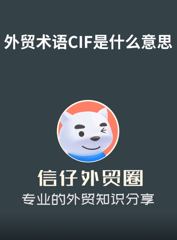 CIF是外贸中的常用术语,你知道CIF的含义吗?哔哩哔哩bilibili