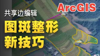 ArcGIS编辑共享边—快速修改多个图斑