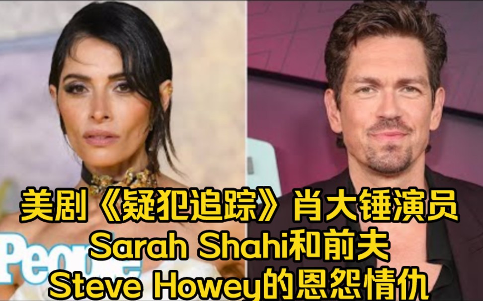 美剧《疑犯追踪》肖大锤演员Sarah Shahi和前夫Steve Howey的恩怨情仇哔哩哔哩bilibili