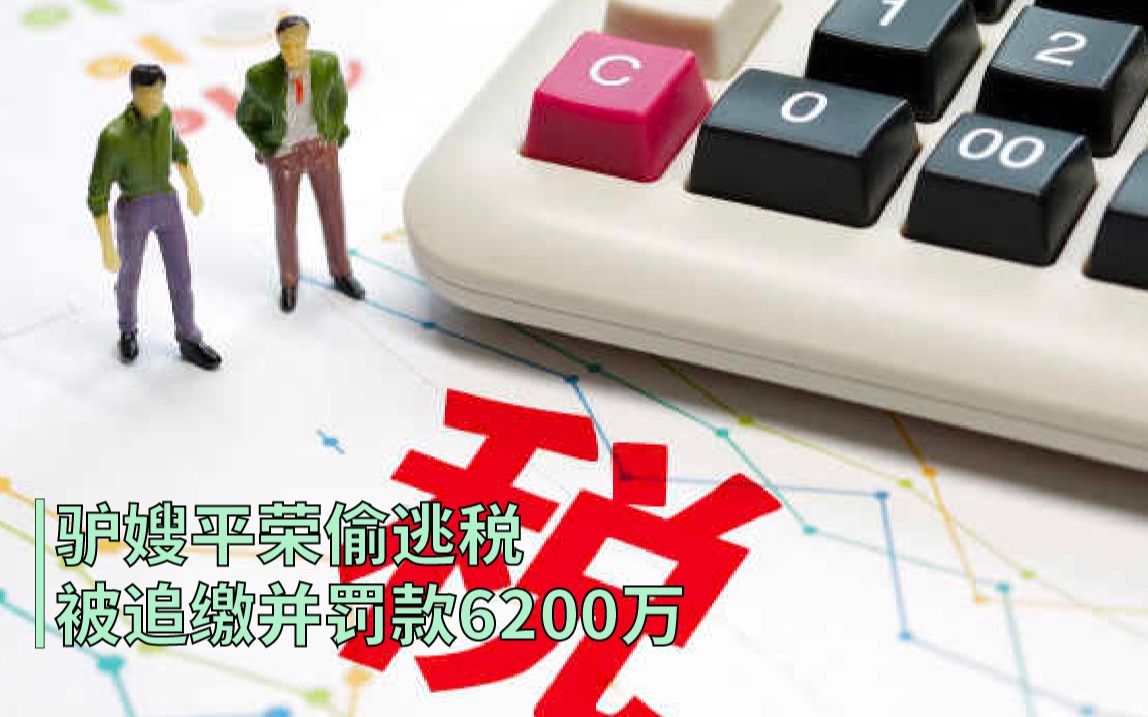 驴嫂平荣偷逃税被追缴并罚款6200万哔哩哔哩bilibili