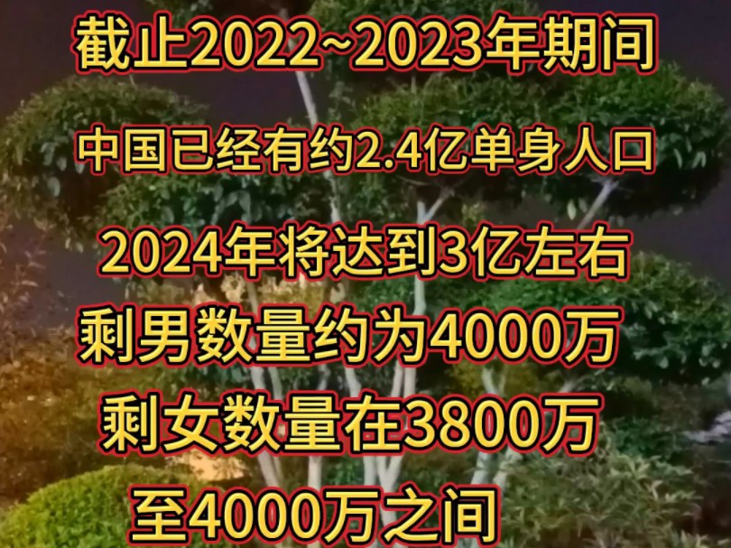 你知道中国有多少单身人口吗?哔哩哔哩bilibili