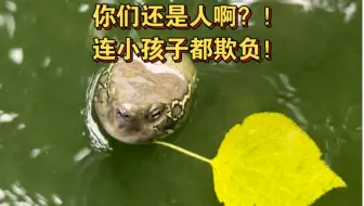 Download Video: 你们还是人啊？！连小孩子都欺负！