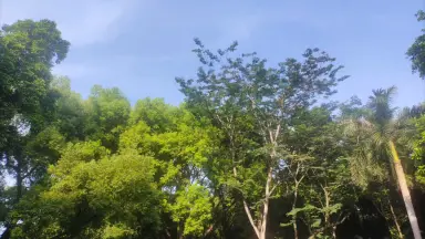 鸢飞戾天 鸢飞戾天》咬一口草莓_晋江文学城_【原创小说|纯爱小说】