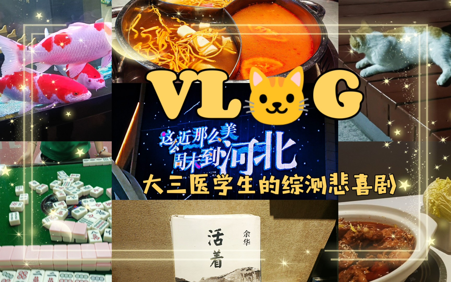 Vlog.大三医学生のWeek2︱懒猫的综测悲喜剧/相信自己值得一切美好哔哩哔哩bilibili