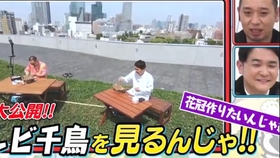 哔哩哔哩