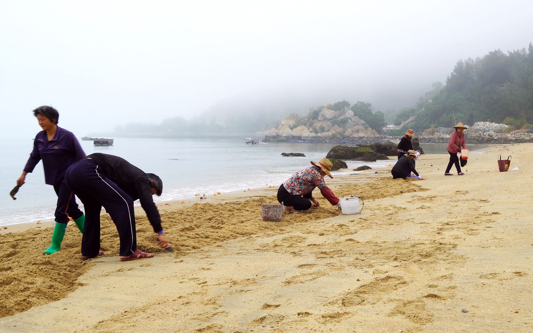 阿兴找到赶海宝地带老婆偷偷去挖宝没想到引来一群妇女追随