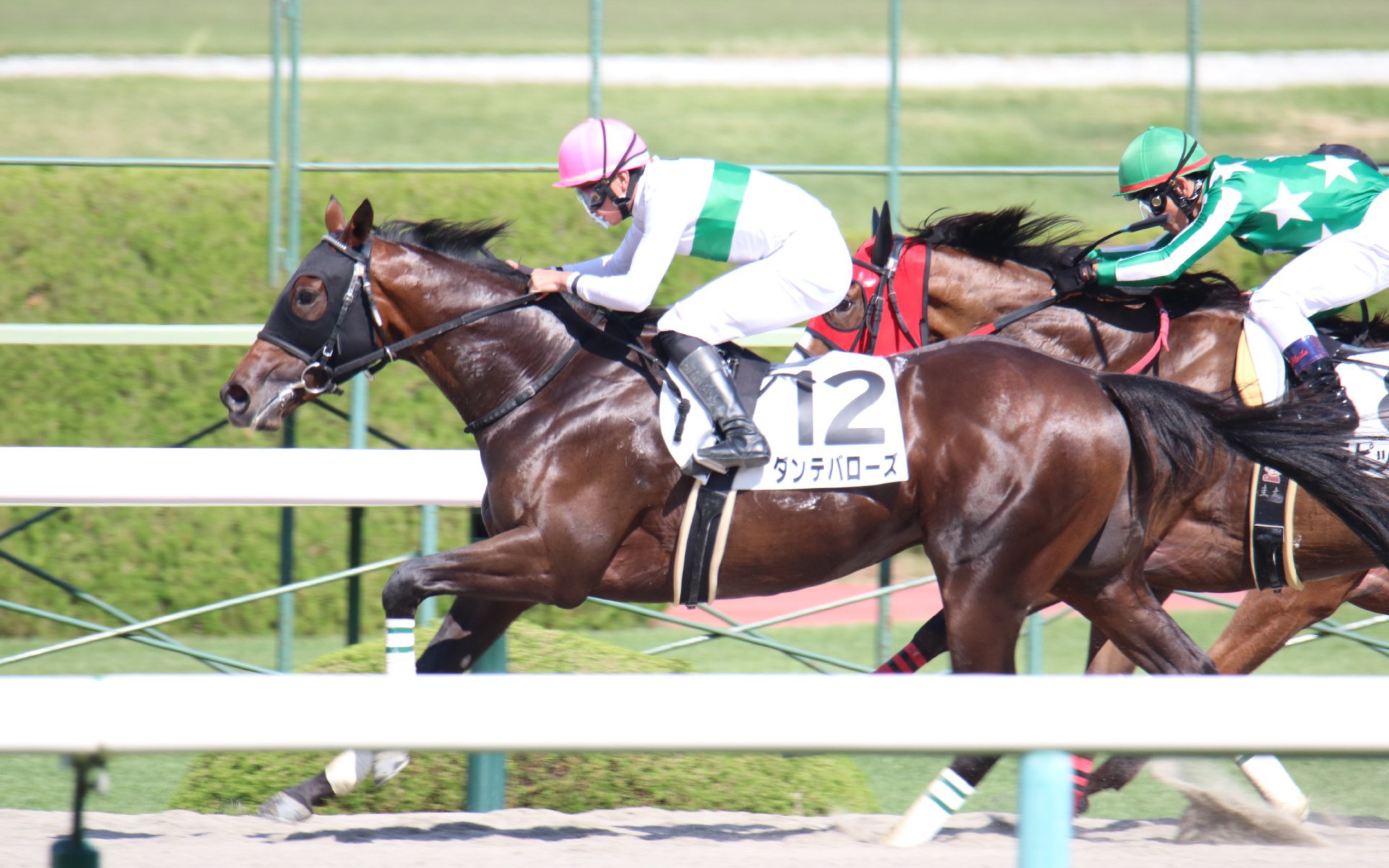 【日本赛马】2022.10.16 2岁新马 追风产驹ダンテバローズ获胜