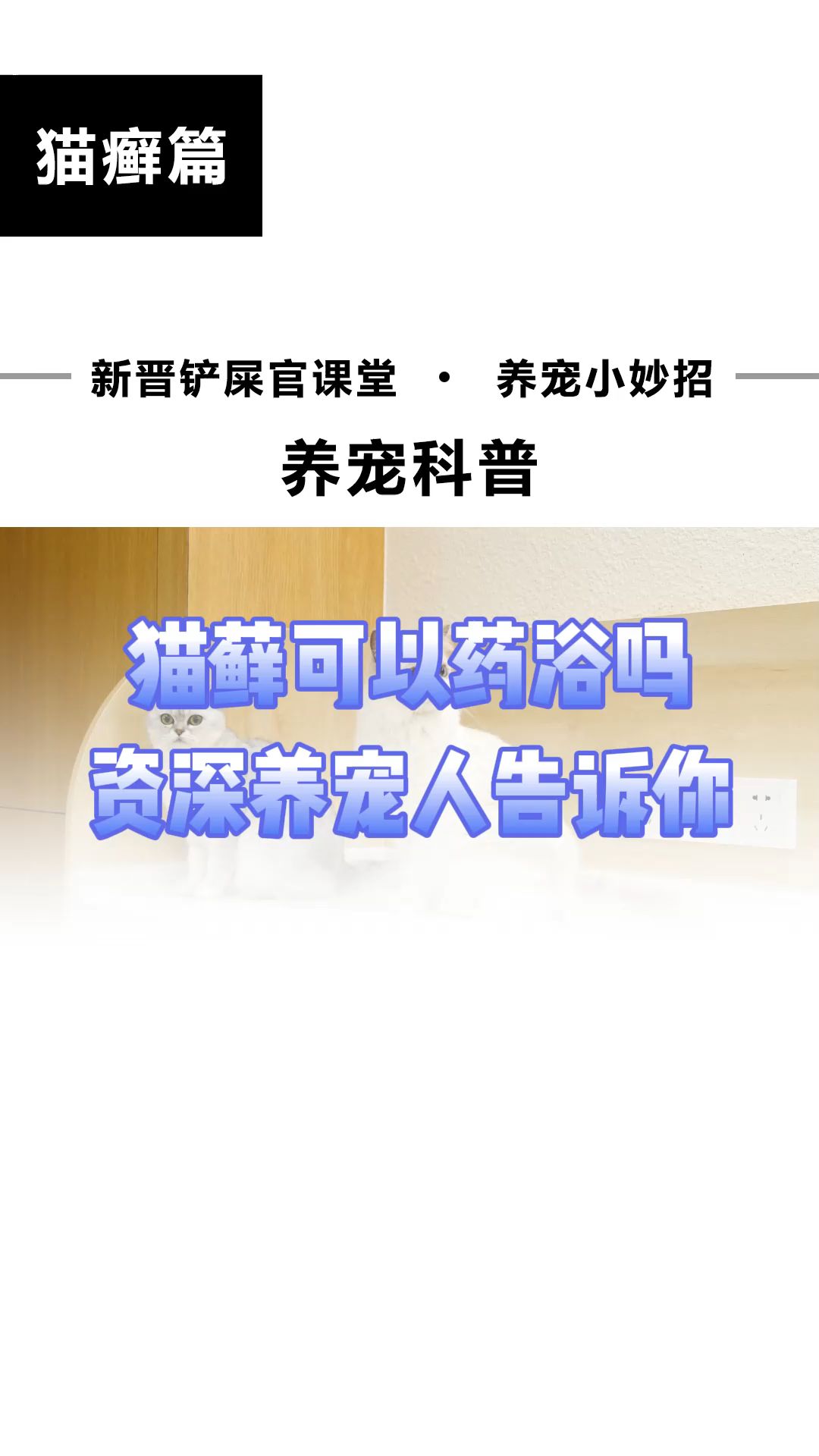 猫癣洗药浴多少钱、多久好等你关心的问题答案都在这里哔哩哔哩bilibili