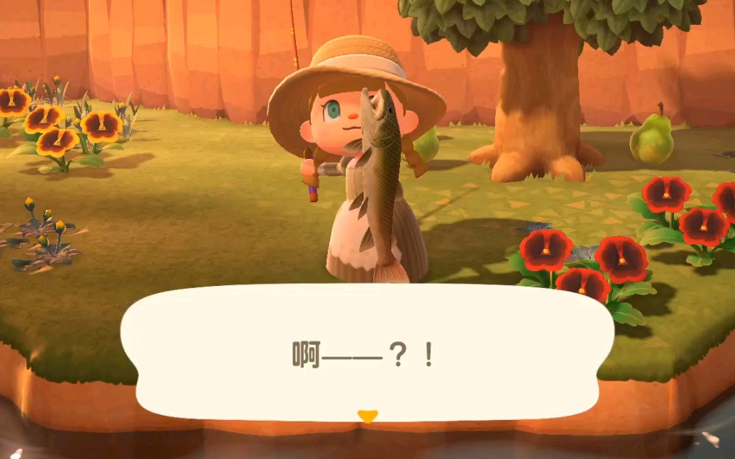 动森三月末的鱼类图鉴旗鱼金鳟花羔红点鲑远东哲罗鱼鲔鱼