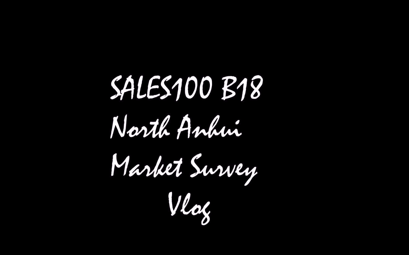 西门子Sales100 Vlogmarket survey篇哔哩哔哩bilibili