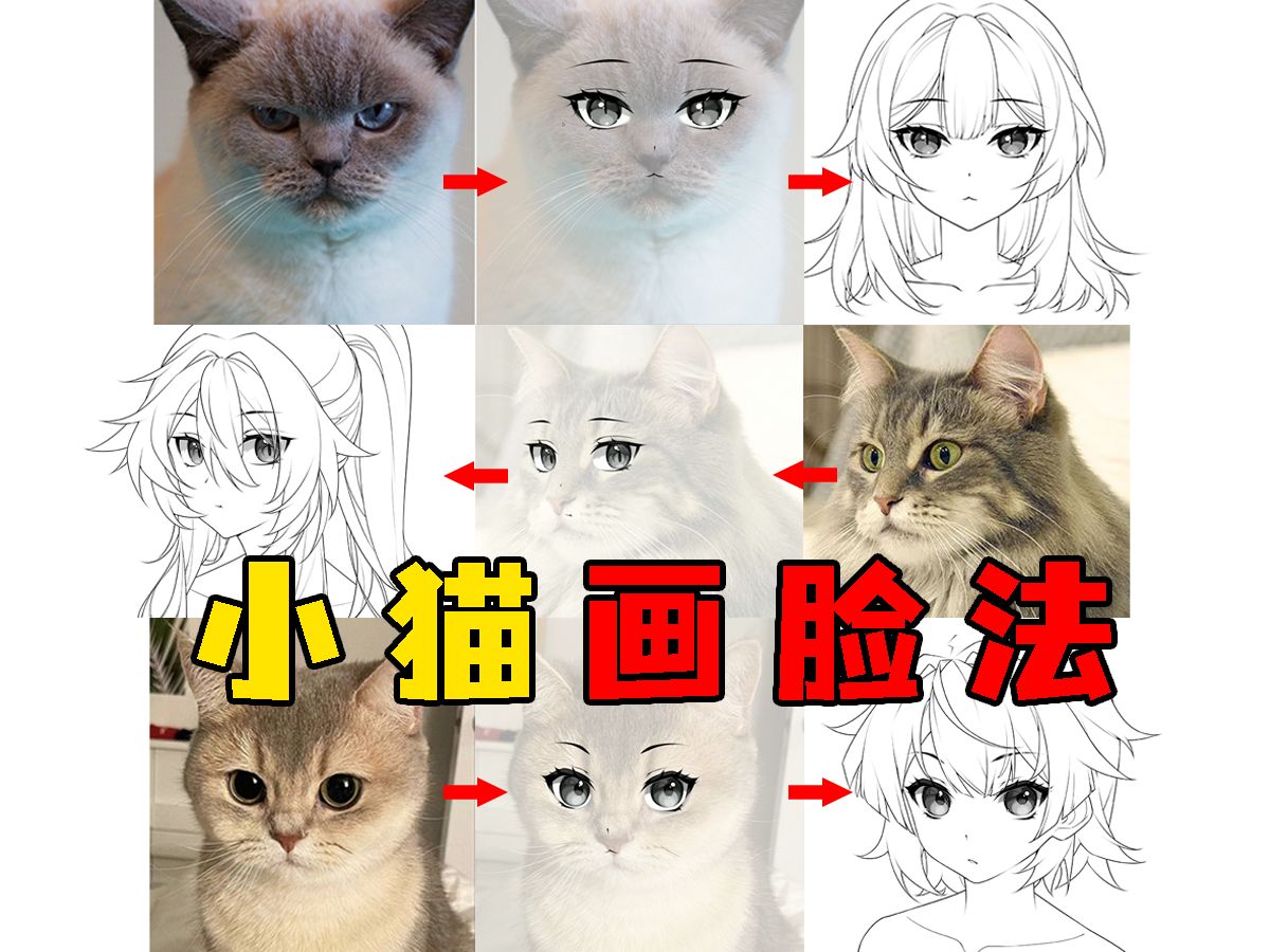 【小猫画脸法】手残党福利!小猫=脸部万能公式?!养猫的画画人来活了!哔哩哔哩bilibili