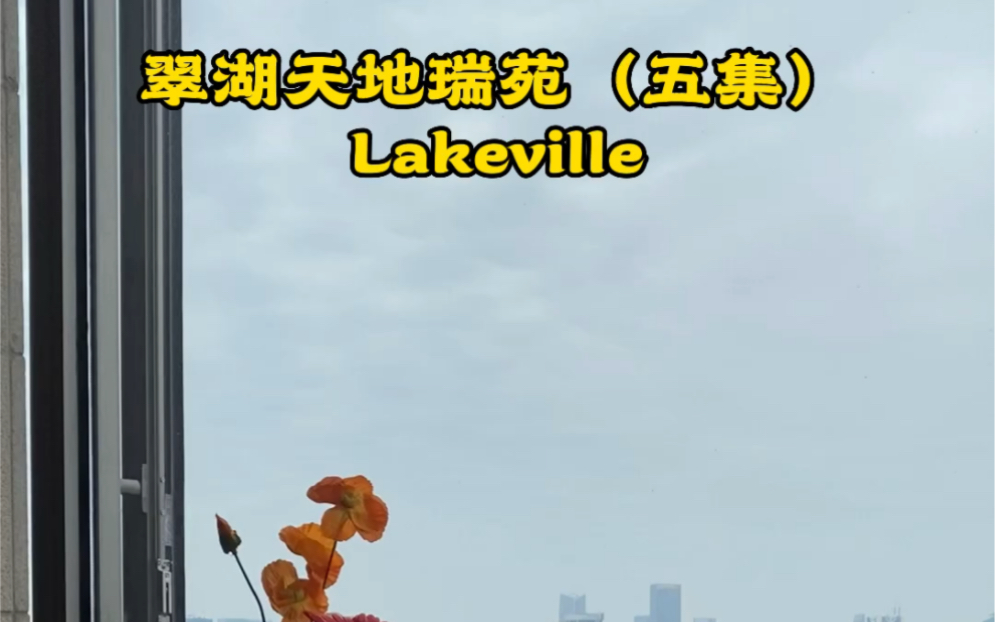 翠湖天地瑞苑ⷠ5集Lakeville279.7平,高区3房太平湖全景尽收眼底月租12万哔哩哔哩bilibili