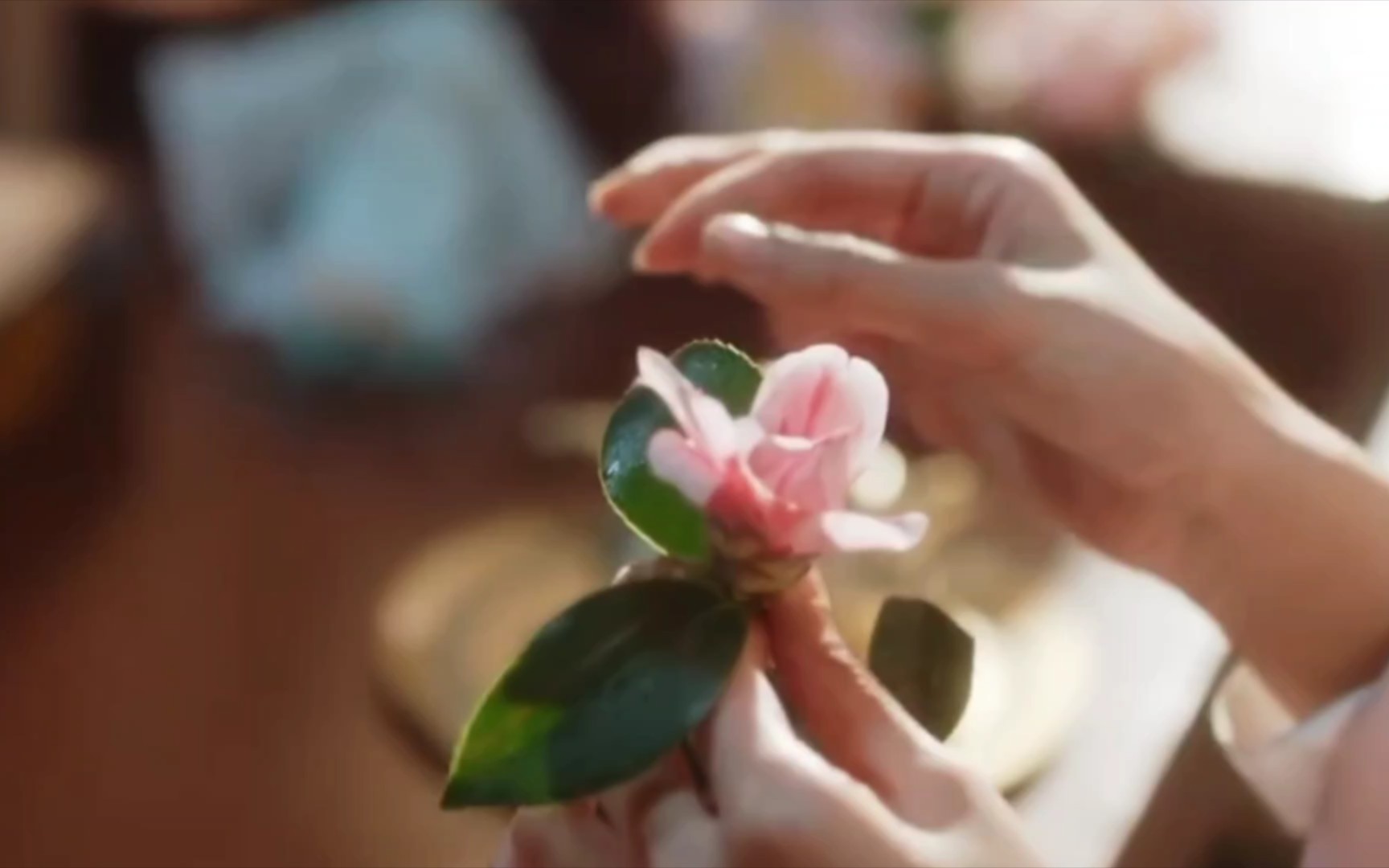 古风空镜:数花瓣,捧脸笑