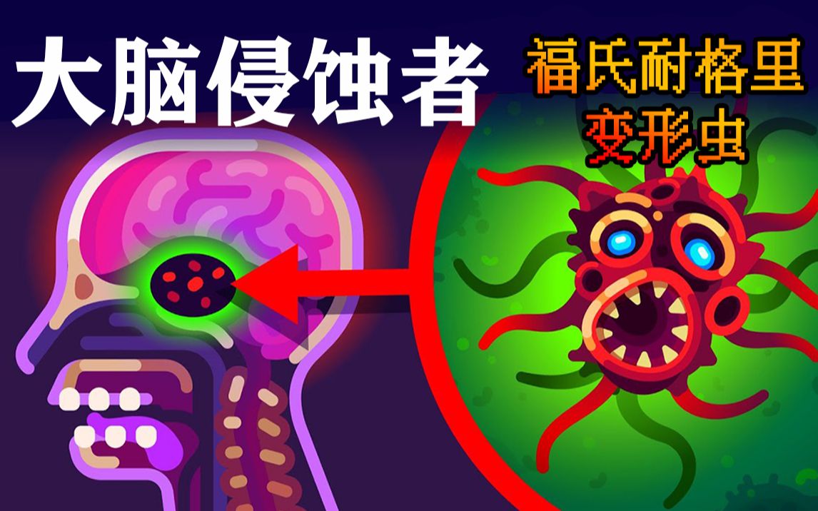 感染就被吞噬大脑,世上最可怕寄生虫之一:福氏耐格里虫哔哩哔哩bilibili