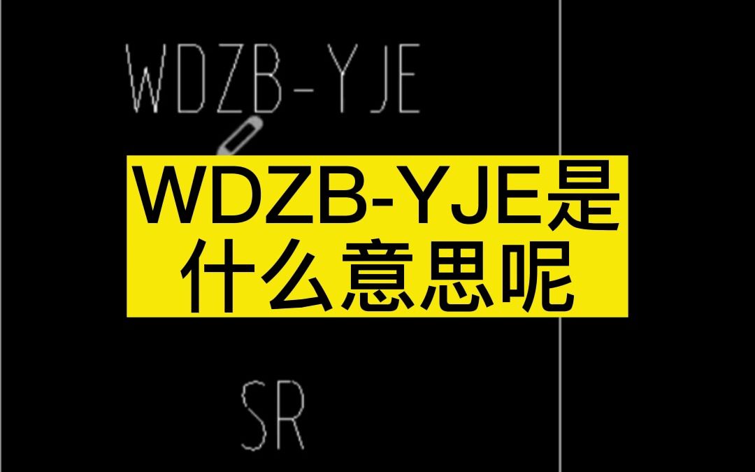 WDZBYJE是什么意思呢哔哩哔哩bilibili