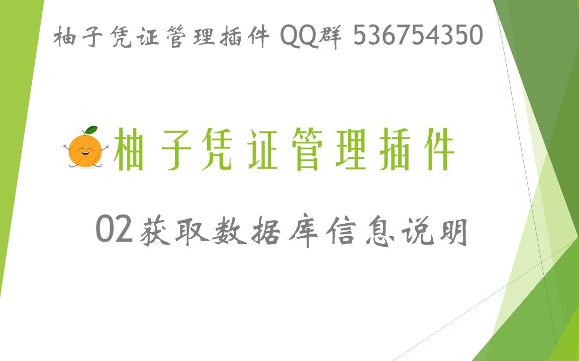 02获取数据库信息说明金蝶用友1秒导入5000张发票凭证 柚子凭证管理插件 QQ群 536754350哔哩哔哩bilibili