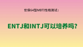 16型人格 Intj Entj相性简析 Mbti 中字 哔哩哔哩 つロ干杯 Bilibili