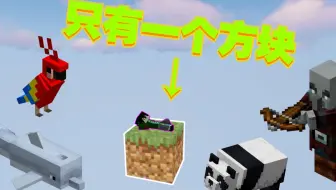 熊猫什么的最可爱了-我的世界单方块生存#2