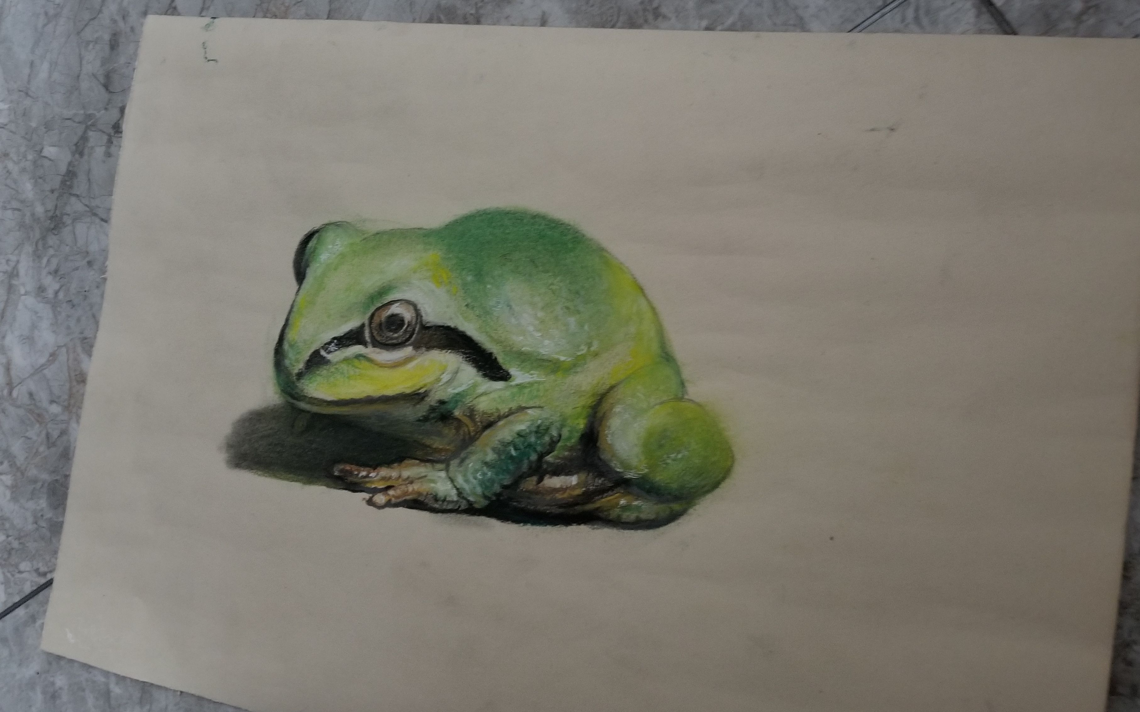 今天画个小青蛙,适合小白的素描教程,画好的关键点都在这里了