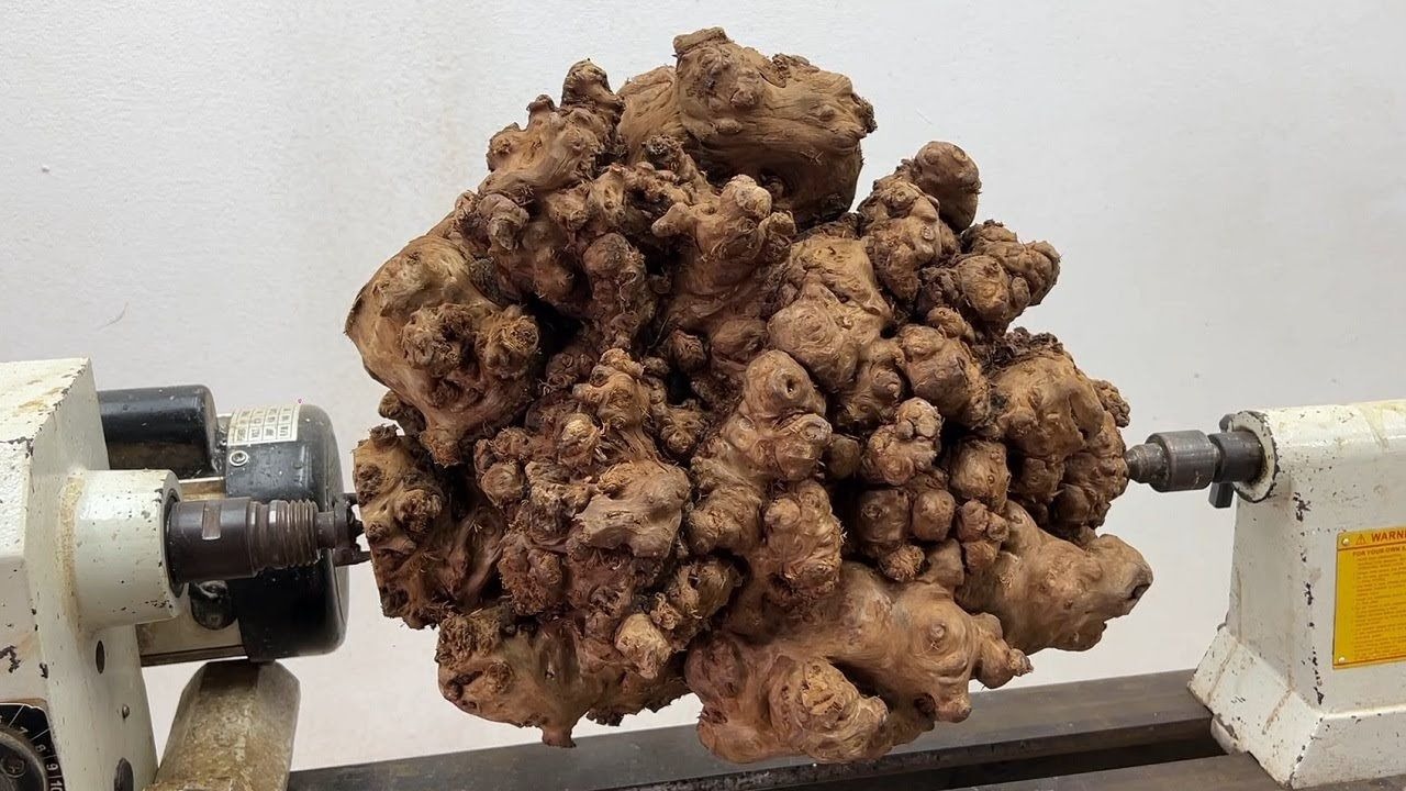 一大块奇形怪状的木瘤,看看能做出什么?