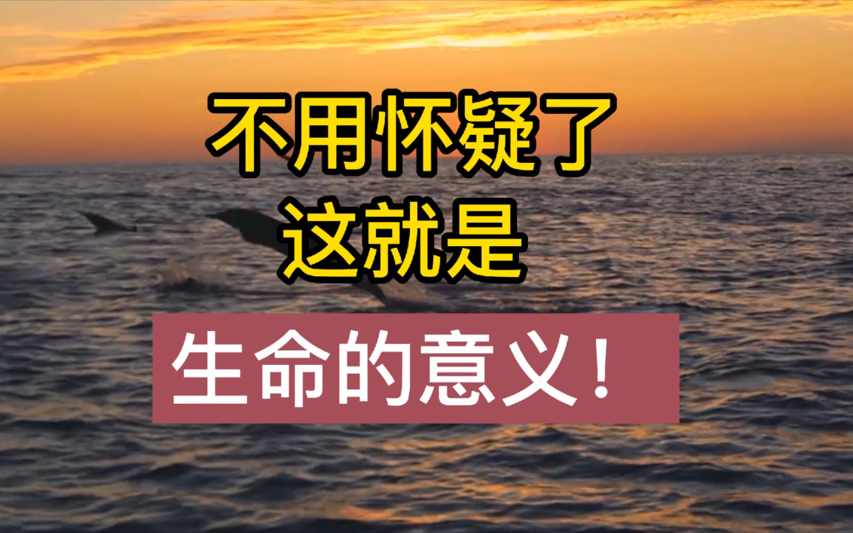 【科学朋克】如果你难以接受人类不是地球的主宰,那么建议不要看这个