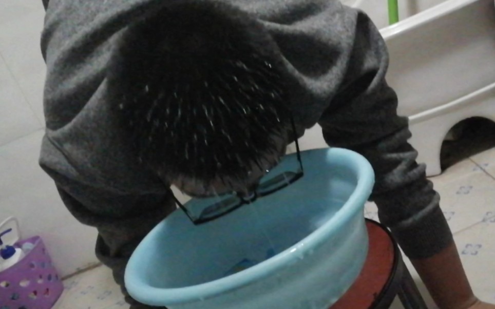 反向毒奶ag赢了倒立洗头现在ag赢了我也该兑现承诺了