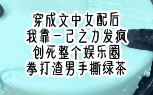 穿成文中女配后,我靠一己之力发疯创死整个娱乐圈,拳打渣男手撕绿茶.《云竹女配》哔哩哔哩bilibili