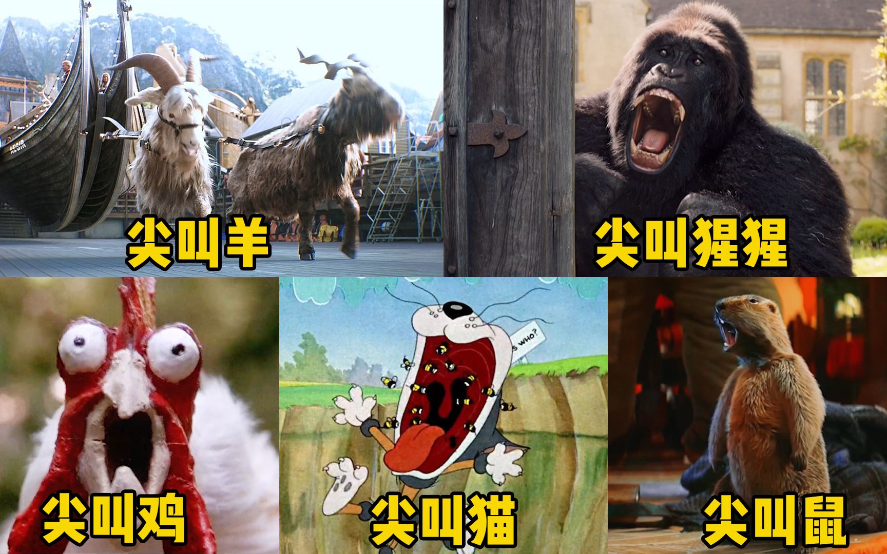 这几只电影里的尖叫动物,你觉得哪个更搞笑?山羊的叫声太魔性了