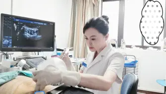 Download Video: 腰痛不一定来源于椎管狭窄或者腰突症，有时候小关节紊乱和腰方肌疼痛也有份儿～物理的松解结合药物的注射，给腰部充分的休息和放松～