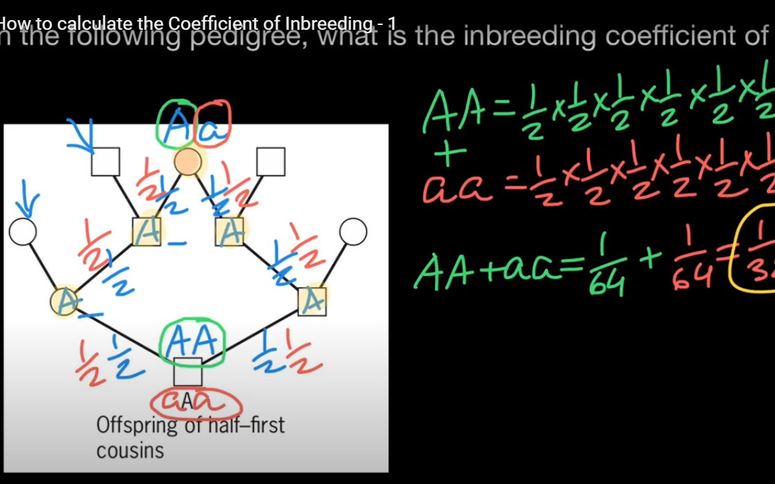 【群体遗传学】Population Genetics哔哩哔哩bilibili