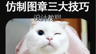 【PS教程】仿制图章三大技巧