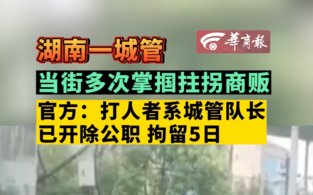 湖南一城管当街多次掌掴拄拐商贩 官方:打人者系城管队长 已开除公职 拘留5日哔哩哔哩bilibili