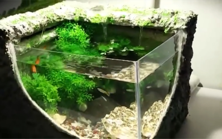 手把手教你如何用泡沫箱diy水族箱.