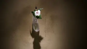 夏季日常花丨桔梗 石竹 雄黄兰 青枫丨生活美学丨日本茶道里千家五美堂茶道教室 哔哩哔哩 Bilibili