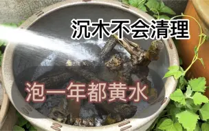 Download Video: 鱼缸沉木泡一年还黄水，别人沉木几天就不黄水这是为啥