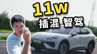 Descargar video: 买比亚迪之前，不妨看一下这台“SU7 SUV”