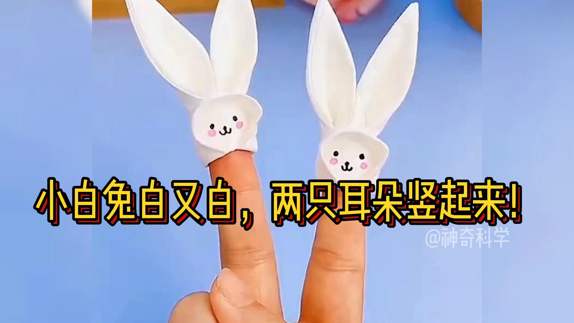 小白兔白又白,两只耳朵竖起来!哔哩哔哩bilibili