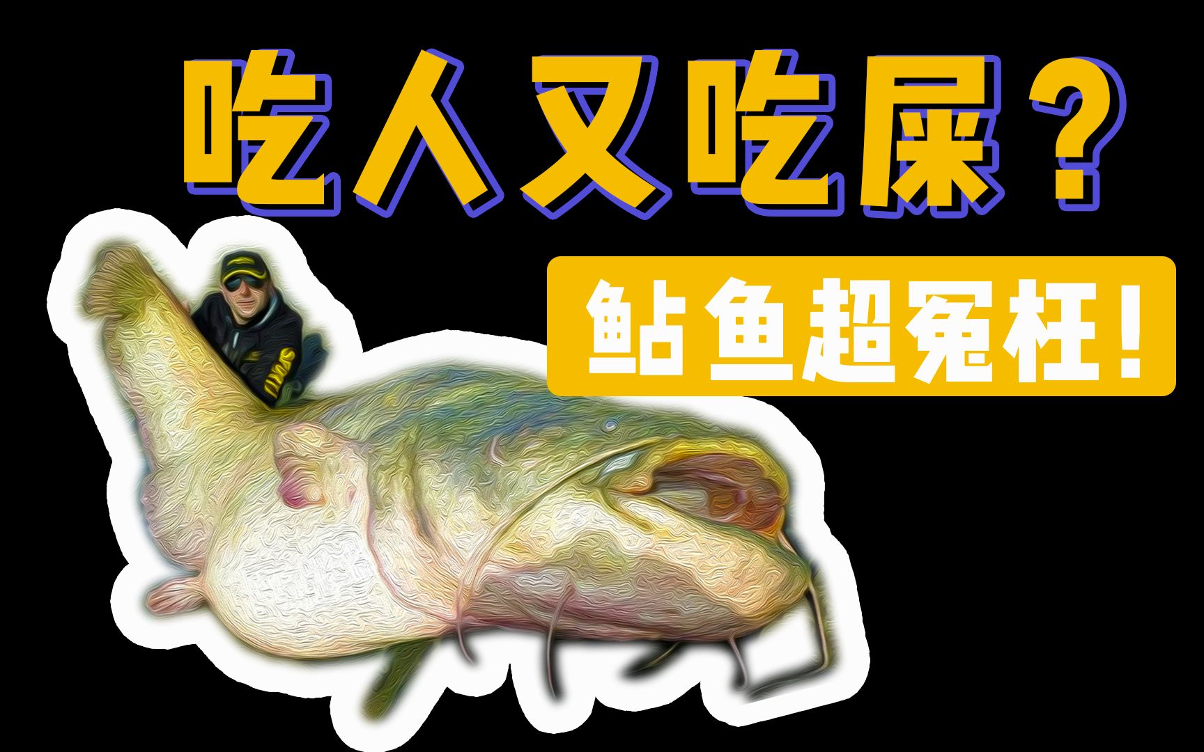 粪坑长大,来自下水道的餐桌美食?求求你别再误解鲇鱼了!