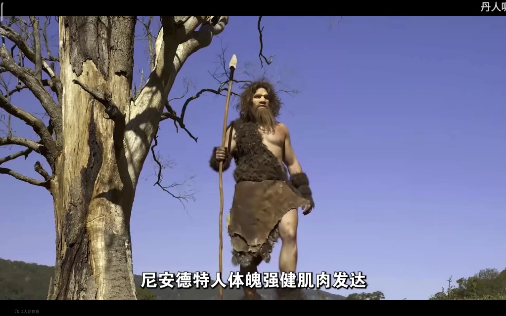 人类的奥秘与宇宙