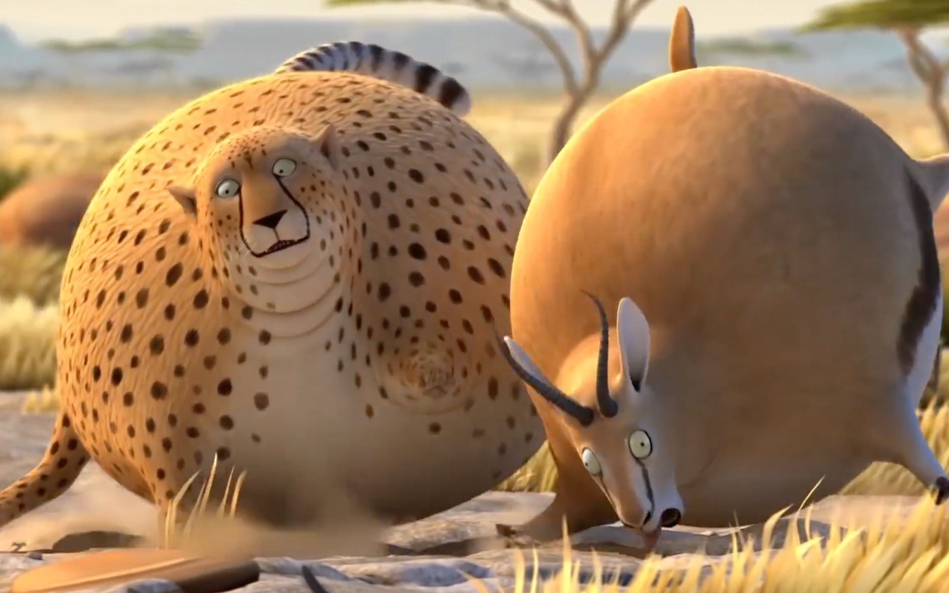 【球状动物】每日一遍,不开心再见!